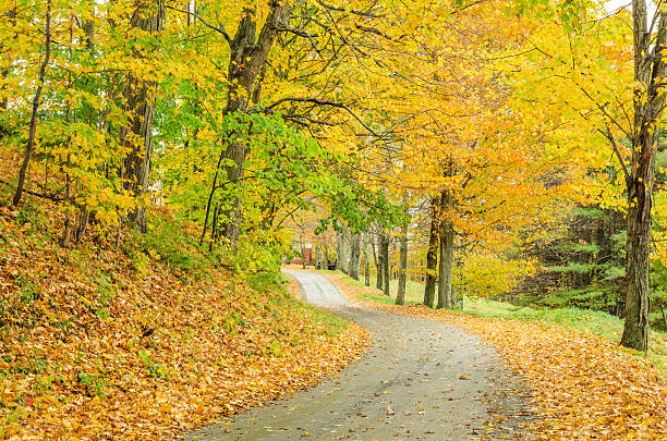 istock Country Road in Autumn 464573587