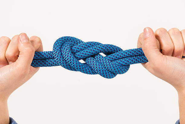 istock Female hands holding climbing rope 464573890