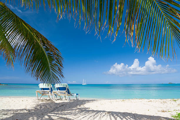 istock Palm tree and chairs on a beach with near the blue water 464574660