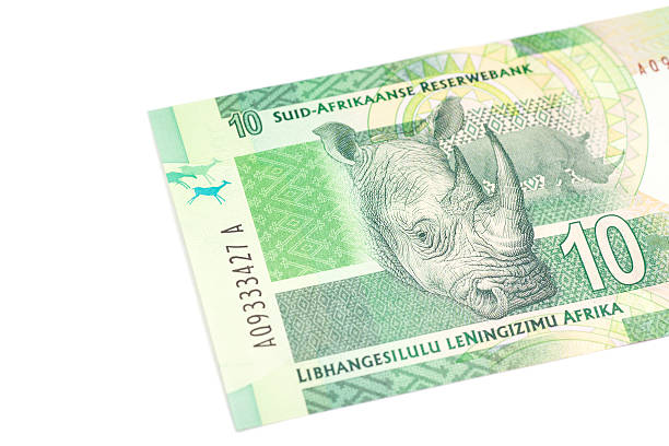 diez rand sudafricano - ten rand note fotografías e imágenes de stock
