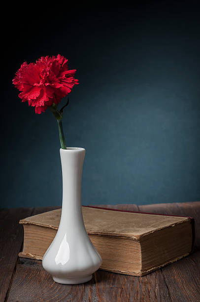 istock carnation in vase and an old book 464574996