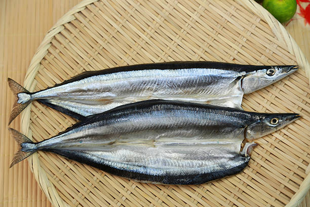 istock The opening of saury 464575104