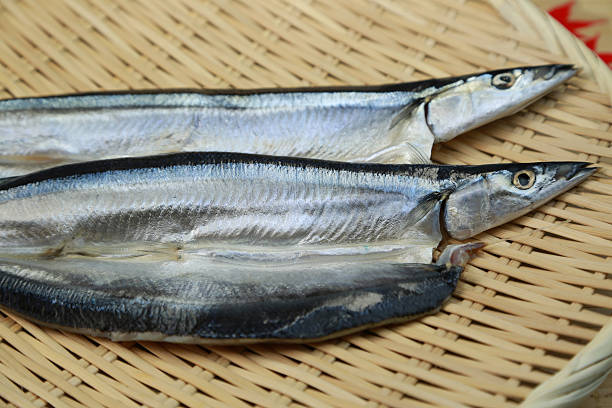 istock The opening of saury 464575108