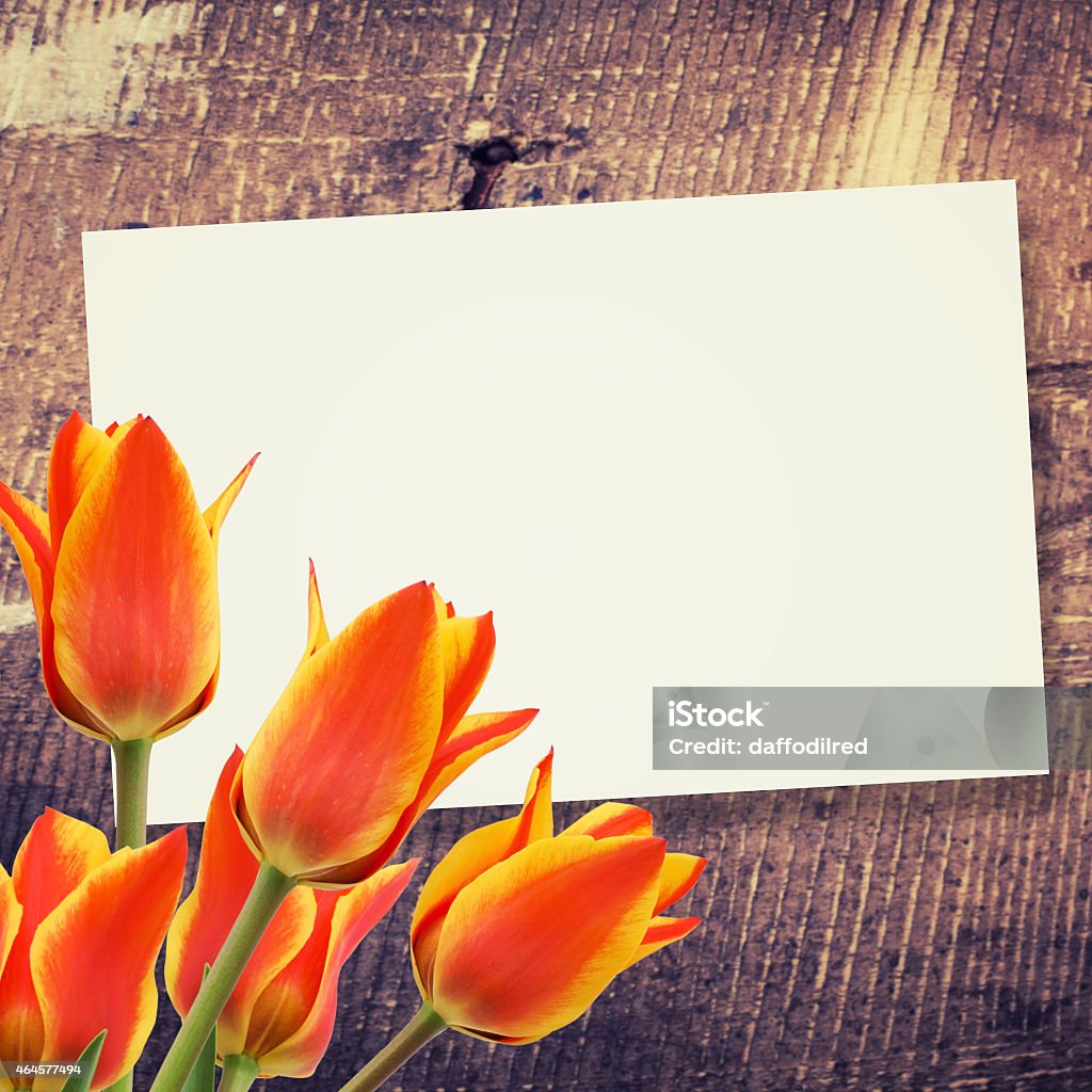Abstract background for design Abstract background for design. Flowers background. 2015 Stock Photo