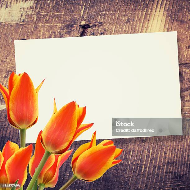 Abstract Background For Design Stock Photo - Download Image Now - 2015, Anniversary, Beauty