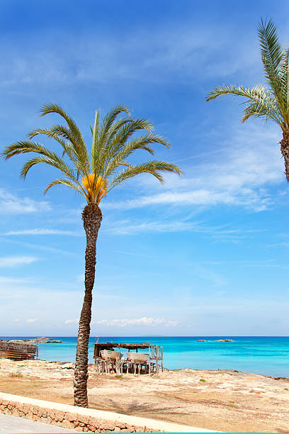 istock Els Pujols formentera beach with turquoise water 464577894