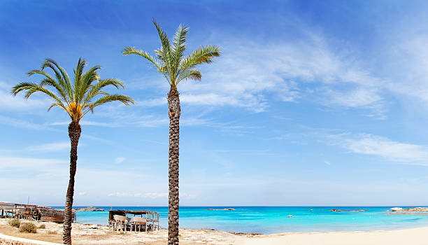 istock Els Pujols formentera beach with turquoise water 464577896