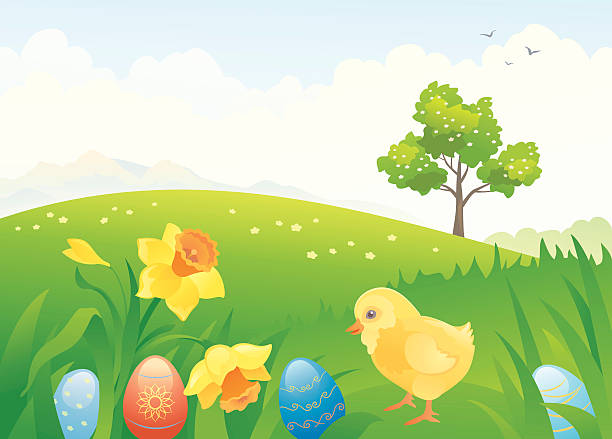 ilustraciones, imágenes clip art, dibujos animados e iconos de stock de chick de pascua - daffodil easter egg hunt easter easter egg