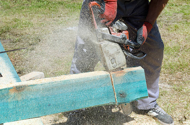 istock Sawing wooden beam 464578588