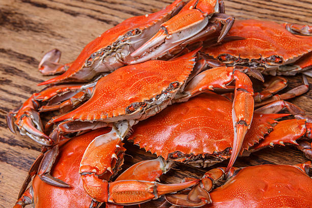 istock Steamed Blue Crabs on a wooden table 464579307