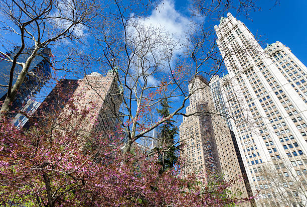 istock Skyscrapers in Lower Manhattan, New York 464586298
