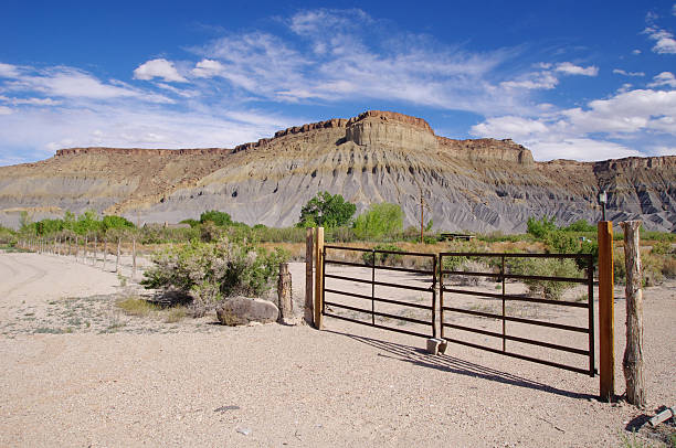 istock Arizona landscape with fence on ranch 464589854