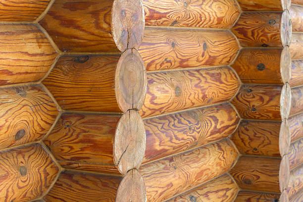 istock wild wooden house as a background 464589988
