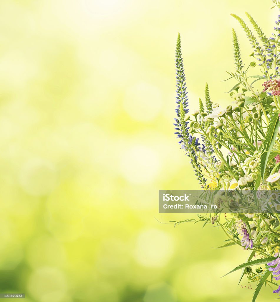 Летний луг с цветами - Стоковые фото Абстрактный роялти-фри