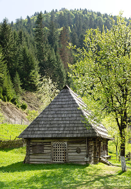 istock Quaint timber cabin with wooden shingles 464592451