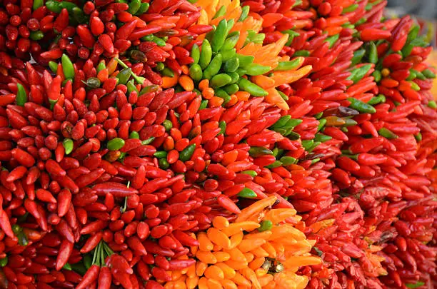 Colorful chilis in Venice