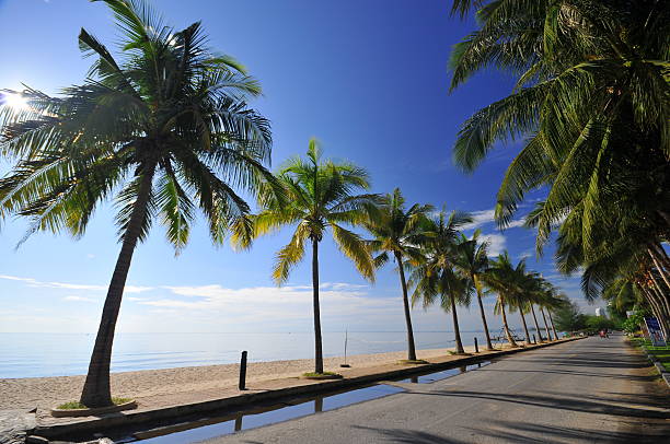 istock Sea blue sky and plam 464593226