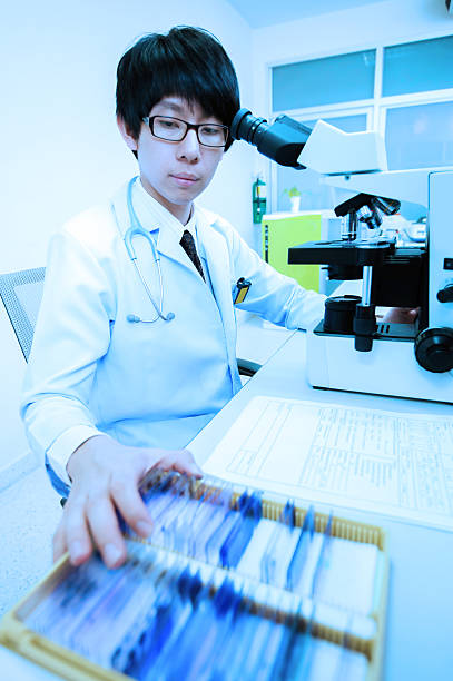 istock veterinarian doctor working at the laboratory 464593776