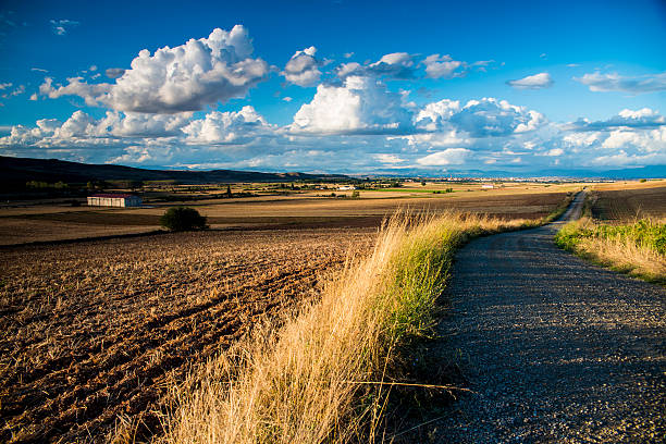 Fields in La Rioja. Spain. Europe.
