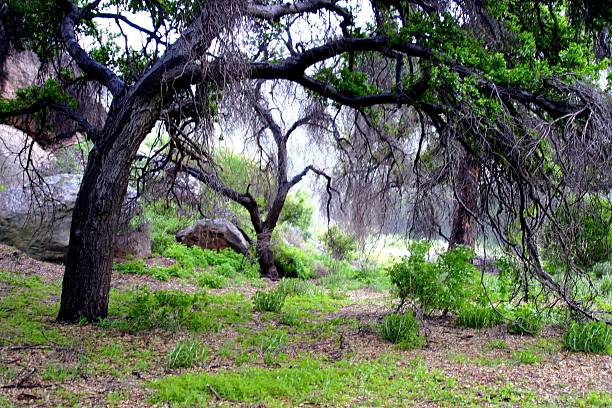 istock Santa Susana Mountains 464597418