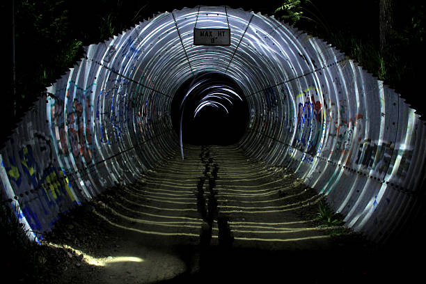 Down the Rabbit Hole stock photo