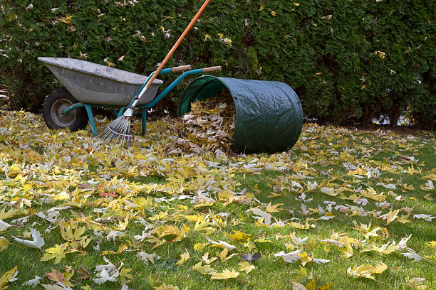 istock Raking autumn foliage in the garden 464598991