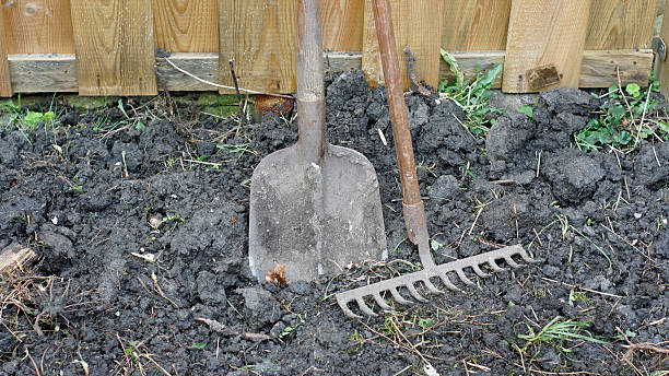 istock Close up of Gardening tools 464601400