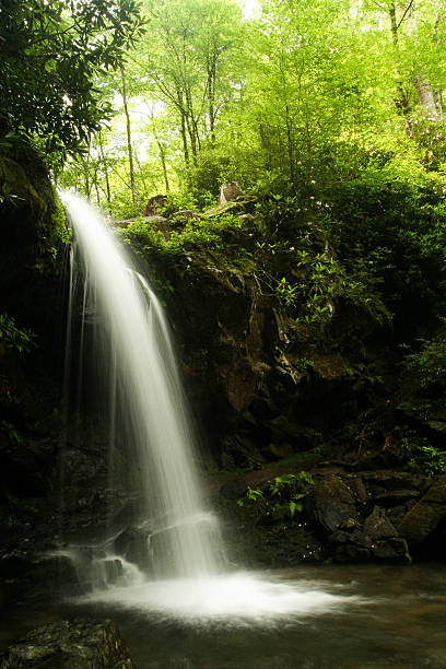en cascada - grotto falls fotografías e imágenes de stock