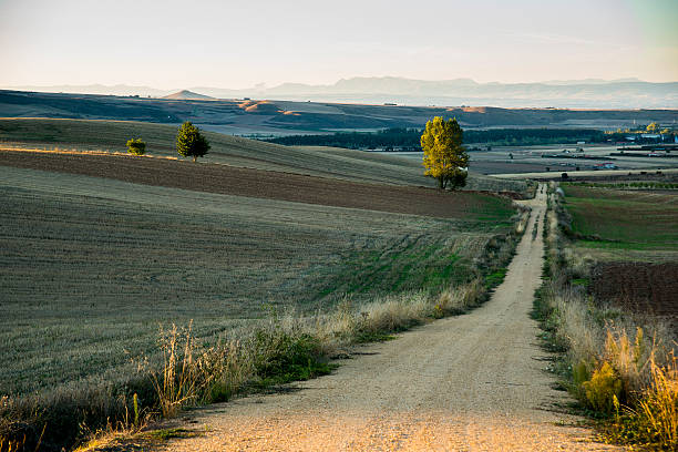 istock Fields in La Rioja. Spain. Europe. 464604616