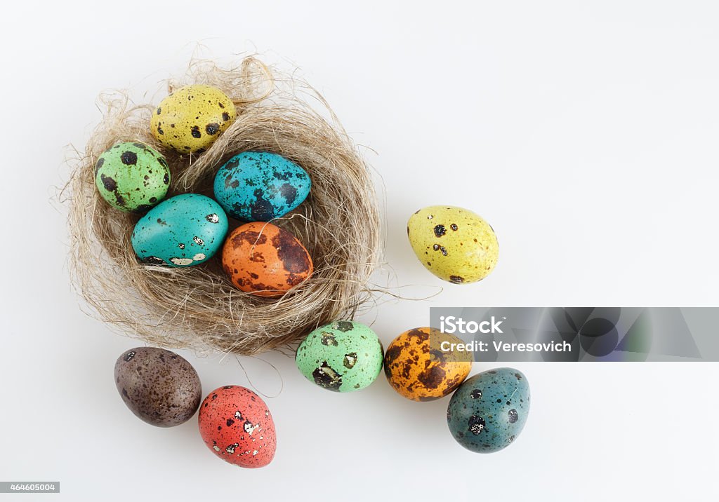 Quail eggs Painted spotted quail eggs in the nest. Top view. 2015 Stock Photo