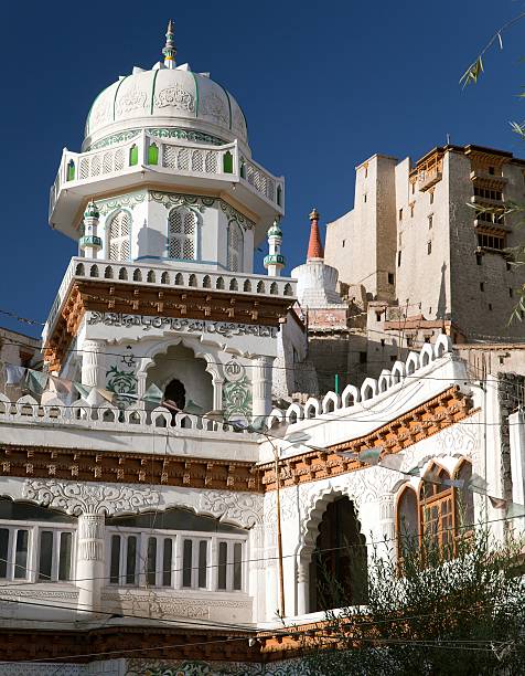 istock Jama Masjid and Leh Palace with stupa 464605278