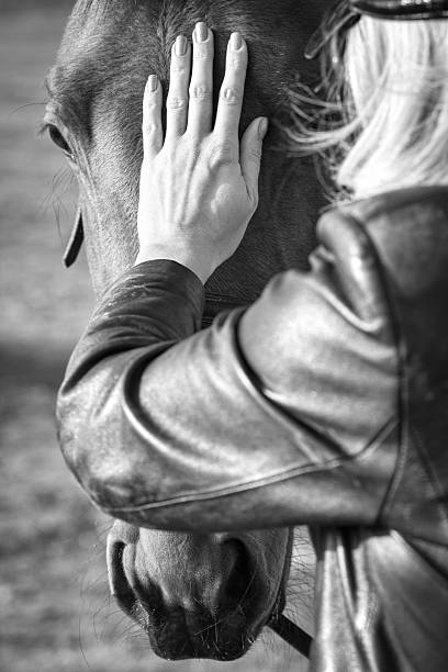 istock Woman calms horse 464608030
