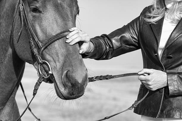 istock Horse and Rider 464608038