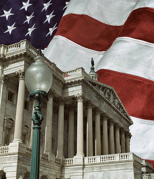 istock United States Capital with Flag 464608714