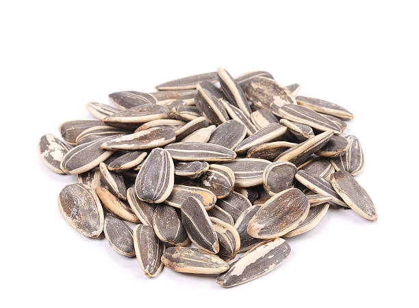 istock Bunch of sunflower seeds. 464609531