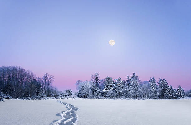 istock evening winter landscape with full moon 464612229