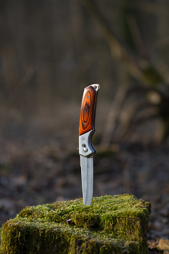 A tight shot of a Damascus steel bushcraft style knife with Micarta handle with sheath resting on a camouflage backpack in the outdoors.