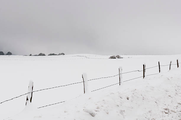 istock Fenced field covered by the snow 464613948