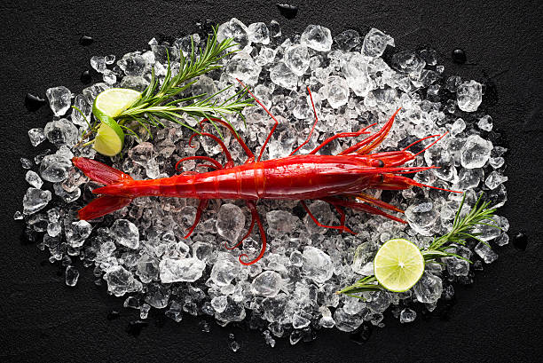 istock Fresh big red shrimp on ice on a black table 464614114