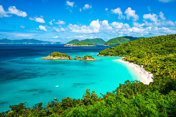 A panoramic view of the beach at Trunk Bay in St John  Trunk Bay, St John, United States Virgin Islands. newfoundland and labrador photos stock pictures, royalty-free photos & images
