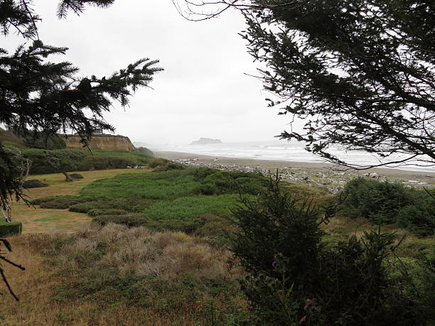 istock ON THE TRAIL IN OREGON 464617850