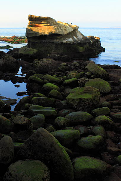 istock Rocky coastline in San Diego 464626830