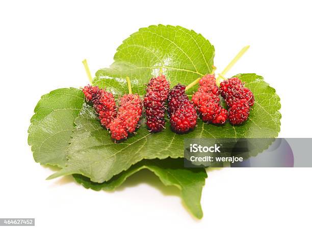 Berry Fruit Stock Photo - Download Image Now - 2015, Agriculture, Backgrounds