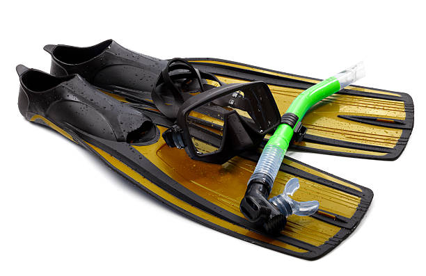 istock Mask, snorkel and flippers with water drops. Diving gear 464633955