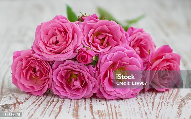 Pink Roses Stock Photo - Download Image Now - Beauty In Nature, Bouquet, Bud