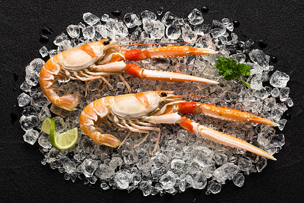 istock Fresh scampi shrimp on ice on a black stone table 464635584