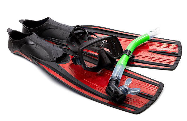 istock Mask, snorkel and flippers with water drops. Diving gear 464636063