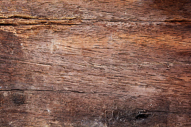 textura de madeira - grung imagens e fotografias de stock
