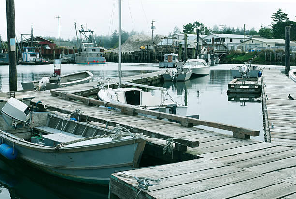 istock Harbor in bay where main industry is oyster growing 464638966