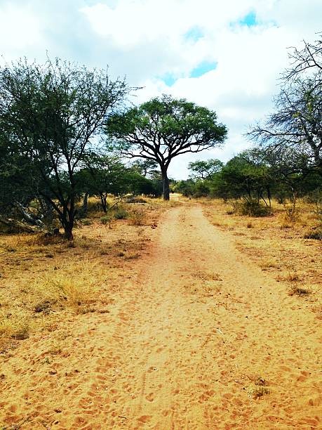 istock The road less travelled on 464639793